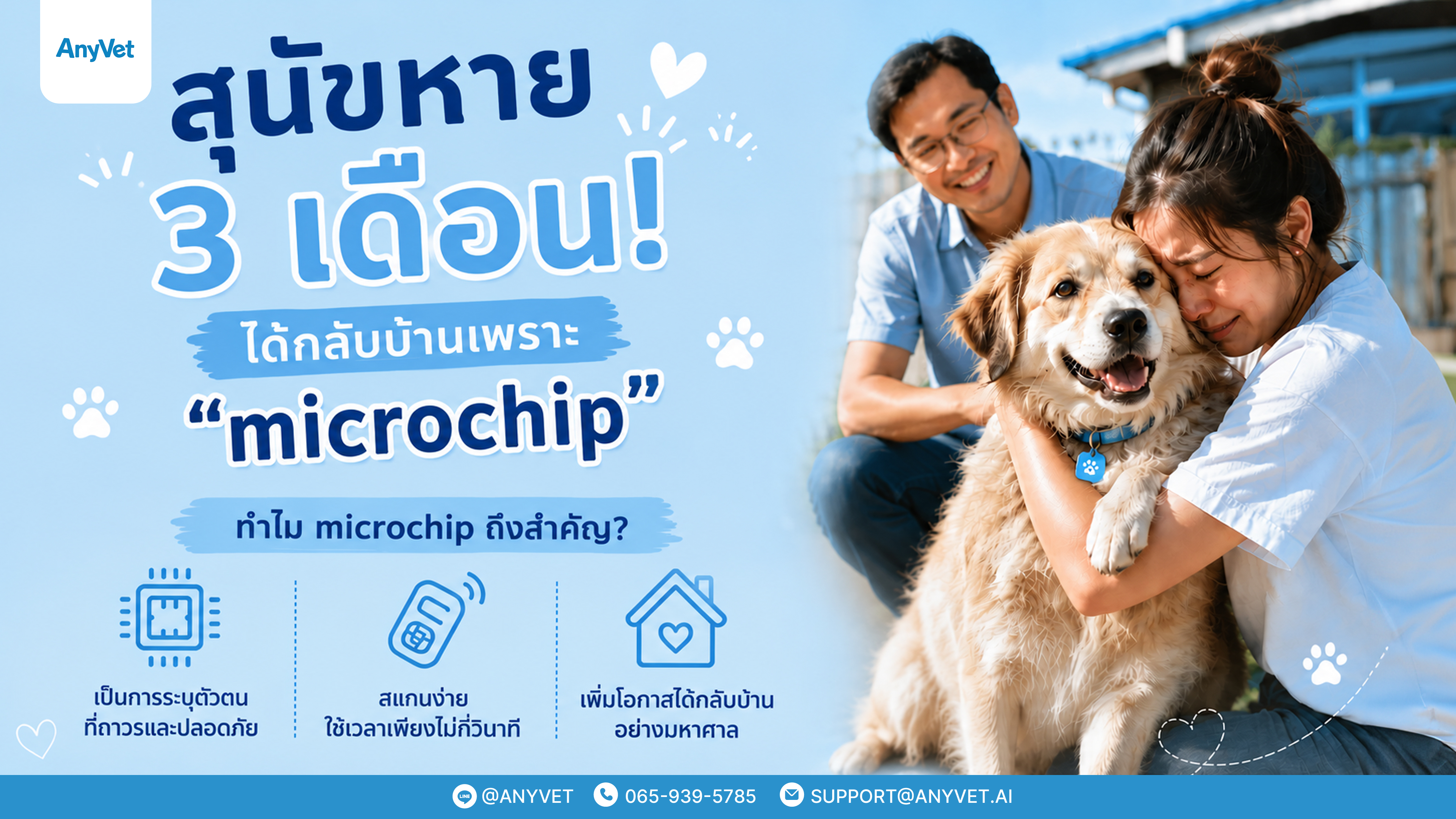 Real Case: Lost Dog Reunited After 3 Months Thanks to a “Microchip”